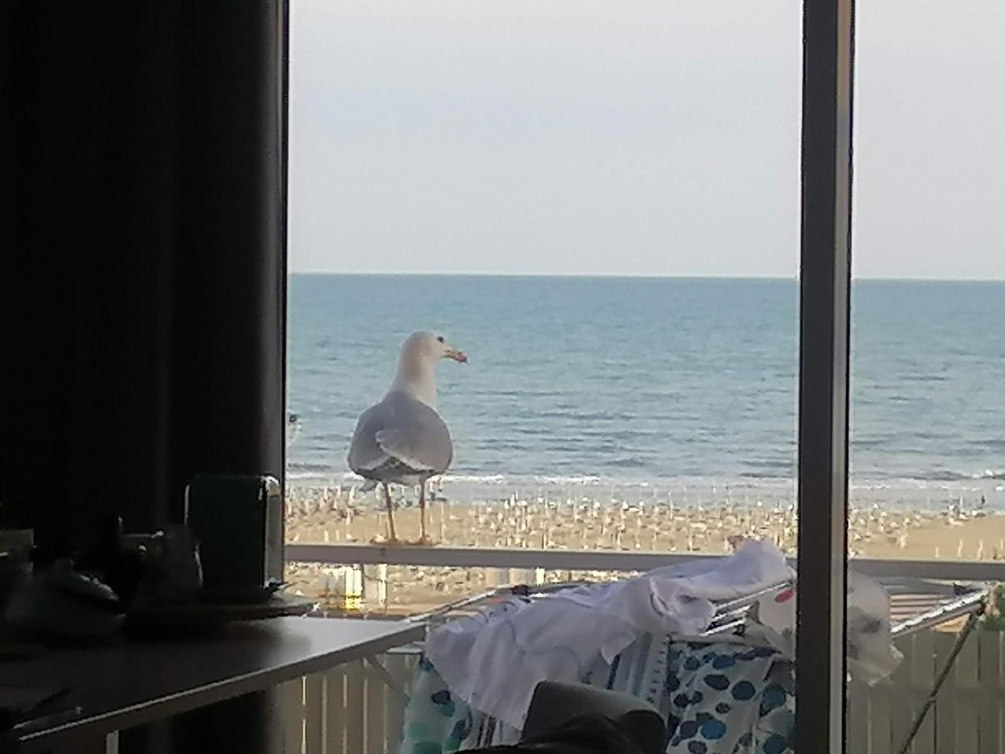 Villa Silente L Bibione Eksteriør billede